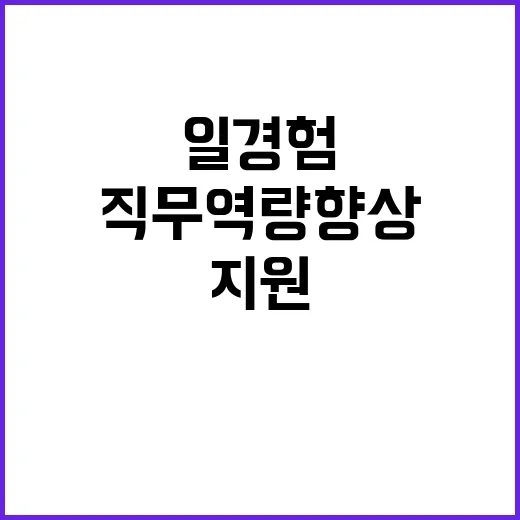 고용부 일경험 사업로 직무역량 향상 지원!