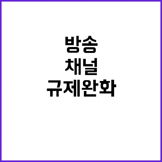 방송채널사용사업 규…