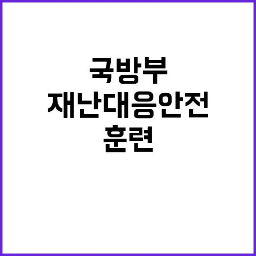 국방부 재난대응 안…