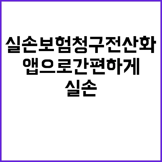 실손보험 청구 전산…