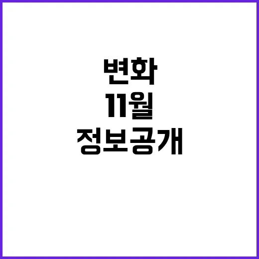 11월 변화 새로운…