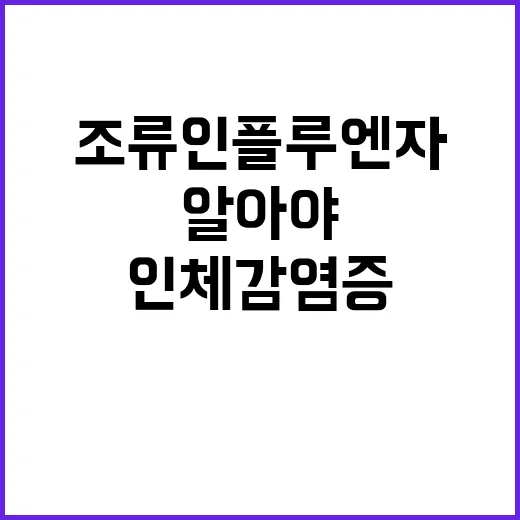 조류인플루엔자 인체…