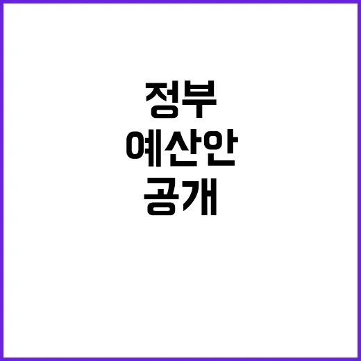 예산안 정부의 미래 전략 공개!