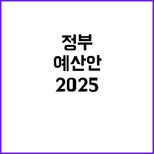 2025 예산안 정부의 후폭풍 예고! 클릭 필수!