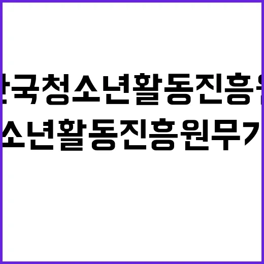 한국청소년활동진흥원…