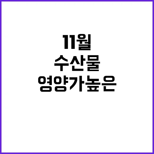 영양가 높은 11월…