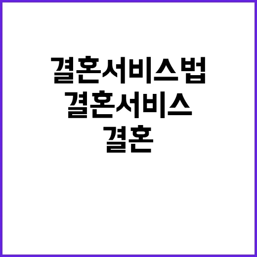 결혼서비스법 결혼식 비용 투명성 대폭 강화!