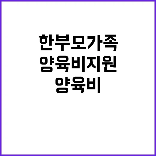 양육비 지원 한부모가족의 희망을 밝히다!