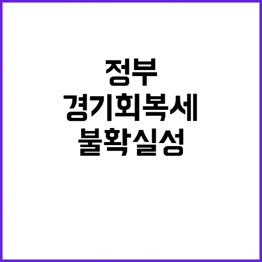 경기회복세 불확실성…