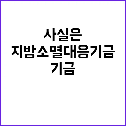 지방소멸대응기금 사실은 이렇게 진행되고 있다!