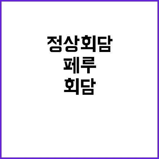 한페루 정상회담 새…