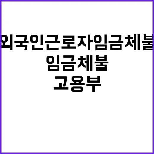 외국인근로자 임금체…