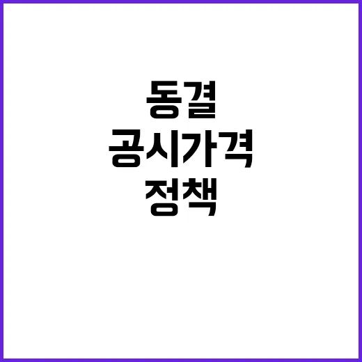 공시가격 동결 정부…