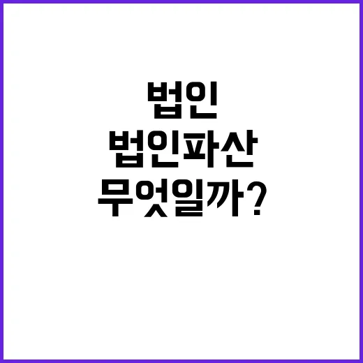 법인 파산 감소세의 비밀은 무엇일까?