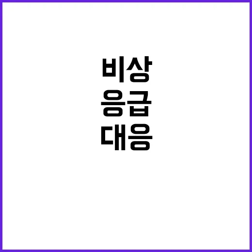 겨울철 응급환자 대…