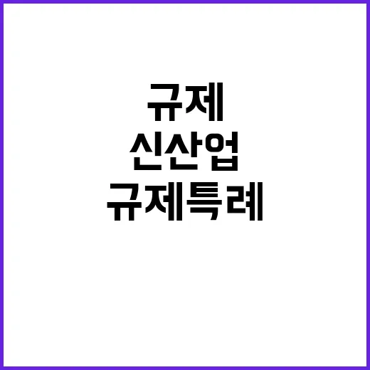 신산업 규제혁신위 …