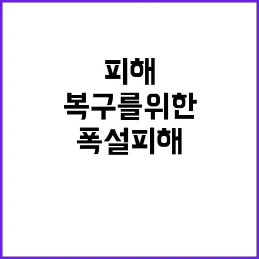 폭설 피해 빠른 복…