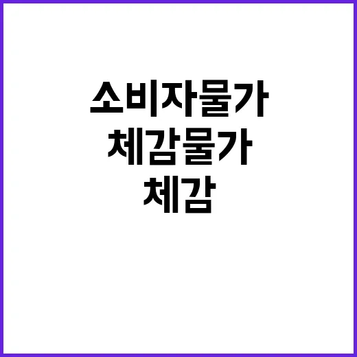 소비자물가 안정 소비자 체감물가 변화 기대!