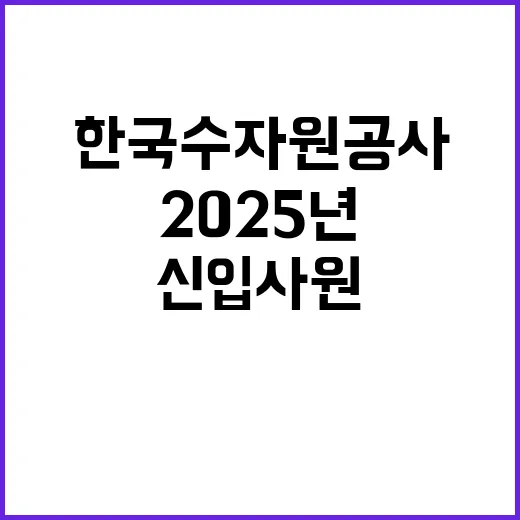 2025년 상반기 일반직 신입사원 일반 공채