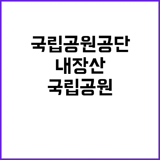 국립공원공단 비정규…