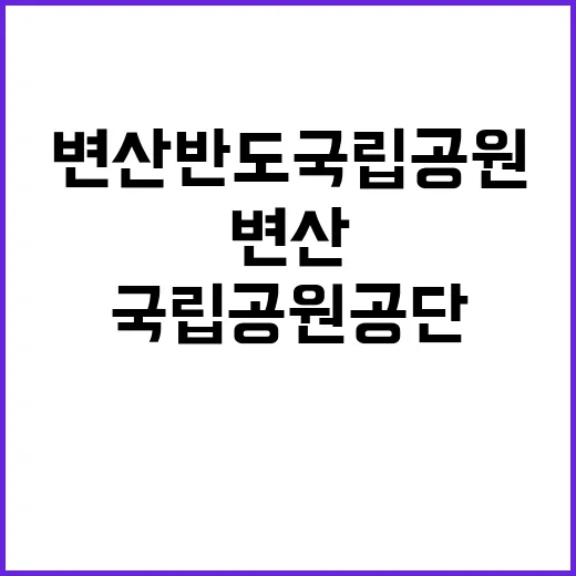 국립공원공단 비정규…