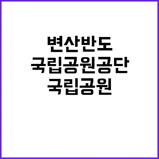 국립공원공단 비정규…