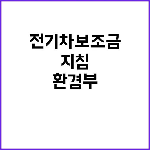 전기차 보조금 환경부의 놀라운 지침 조기 시행!