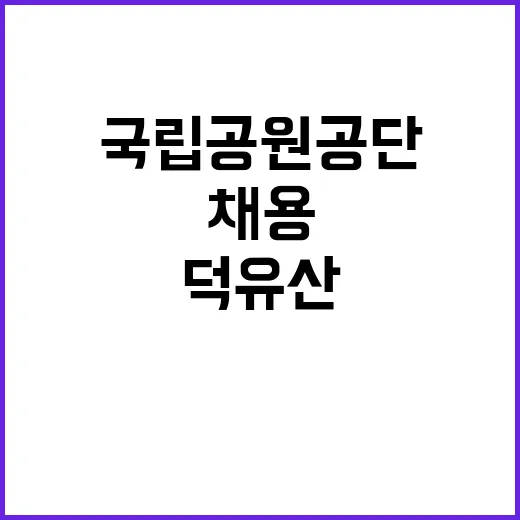 국립공원공단 비정규…