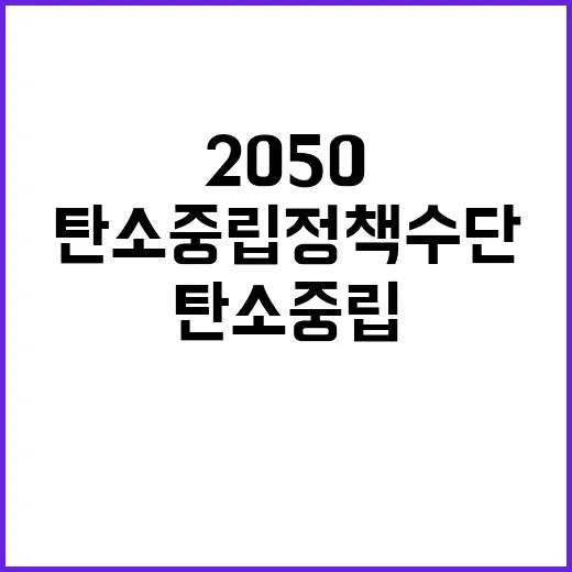 2050 탄소중립 정책수단 총동원 선언!