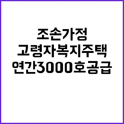 고령자복지주택 조손가정 위한 연간 3000호 공급!