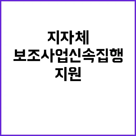 지자체 지원 보조사업 신속집행의 새로운 기회!