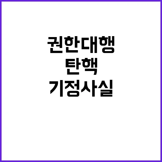 “최 권한대행 대통…