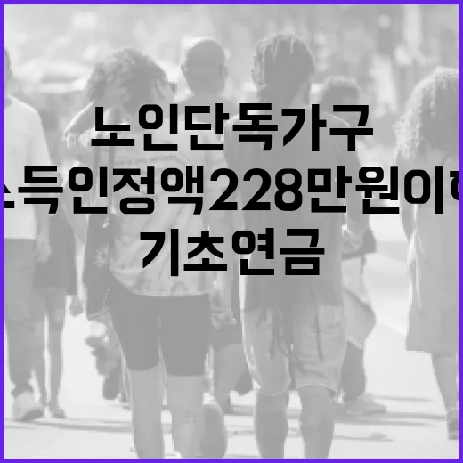 기초연금 노인 단독가구 소득인정액 228만원 이하!