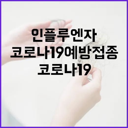 인플루엔자 증가 코로나19 예방접종 필수!