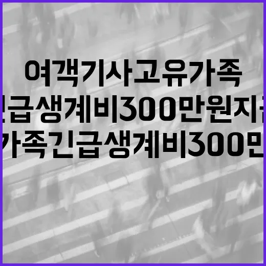 여객기 사고 유가족 긴급생계비 300만원 지급!