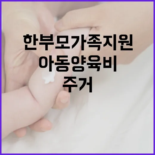 한부모가족 지원 늘…