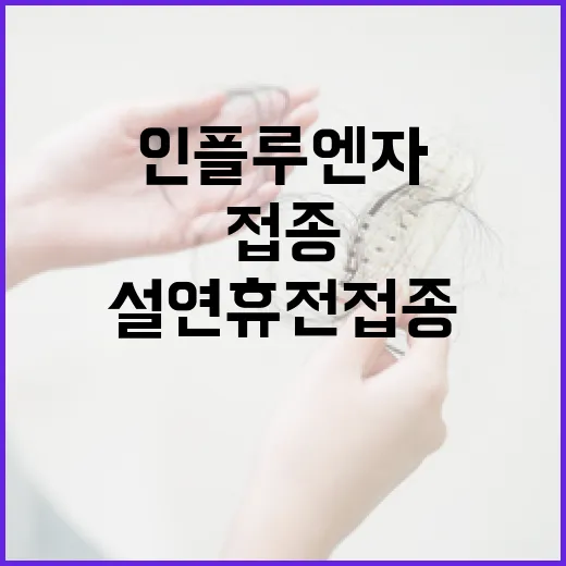 인플루엔자 설 연휴 전 접종 필수입니다!