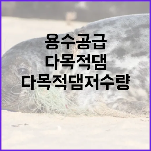 다목적댐 저수량 증가 용수 공급 문제 없다!