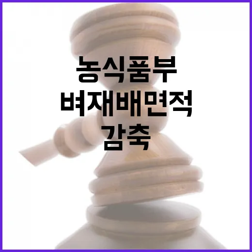 농식품부 벼 재배면…