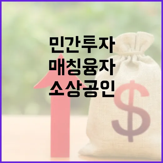 민간투자 매칭융자 …