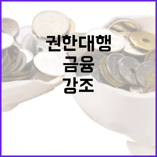 금융 점검체계 24시간 유지해야 한다 권한대행 강조