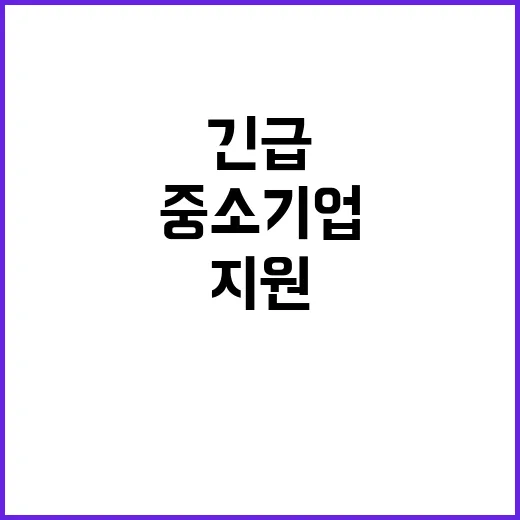 ‘5600억 원’ 중소기업 긴급 지원 소식, 클릭 필수!