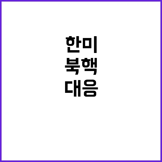 북핵 대응, 한미 …