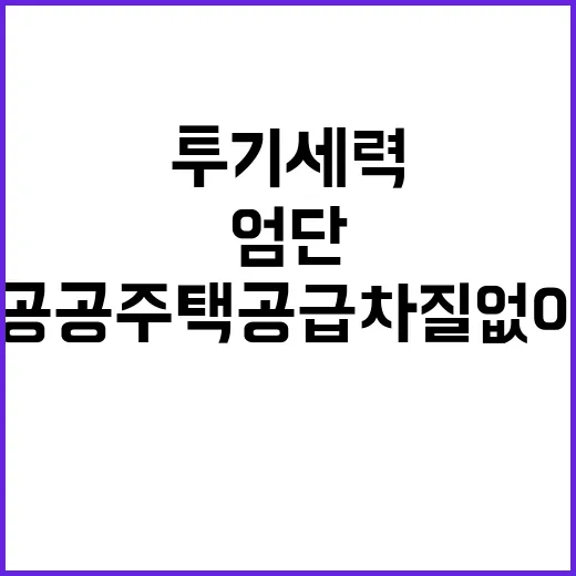 투기세력 엄단, 공…