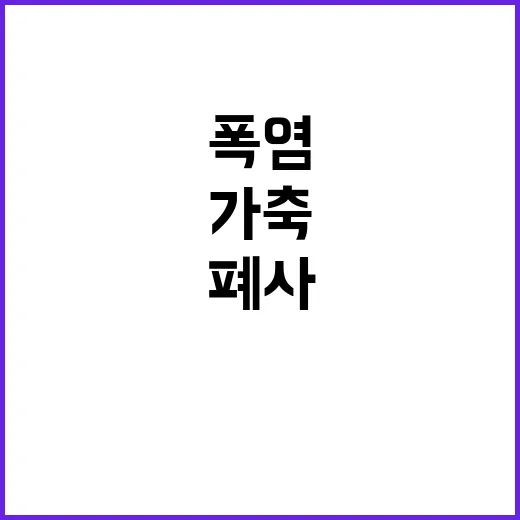 폭염 폐사, 가축 …