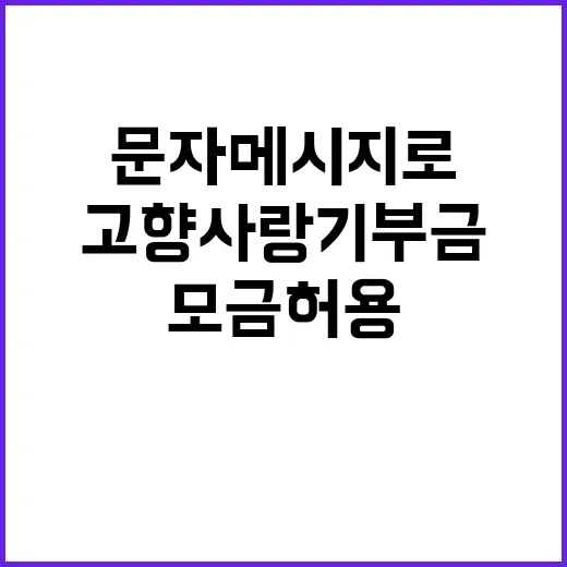 고향사랑기부금, 문…