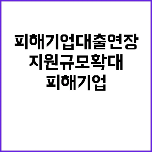 피해기업 대출연장, 지원규모 확대 가능성에 주목!