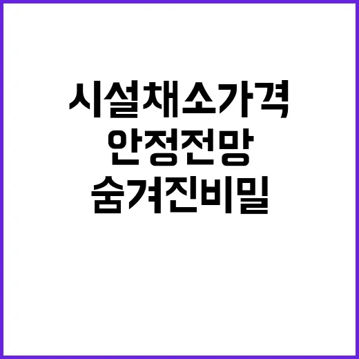 시설채소 가격 안정 전망의 숨겨진 비밀!