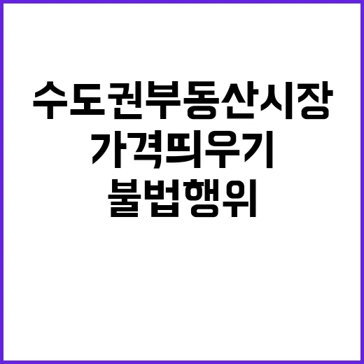 가격 띄우기 수도권…