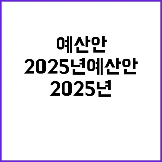 2025년 예산안 …